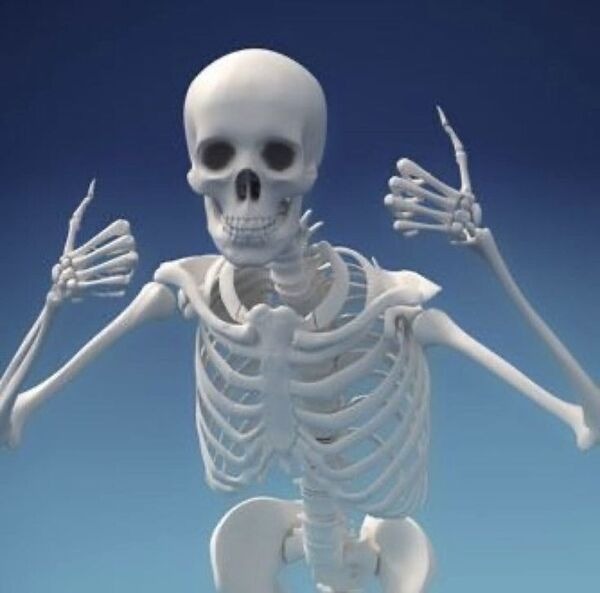 skeleton meme 