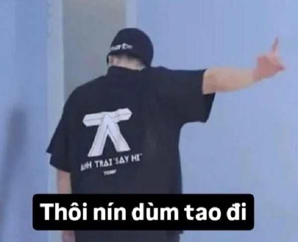 ảnh meme anh trai say hi (12)