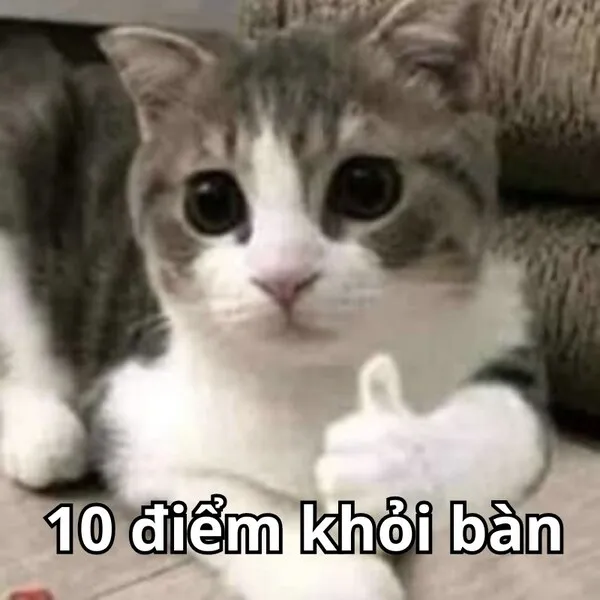 meme 10 điểm khỏi bàn 