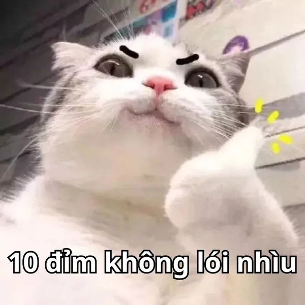 meme 10 điểm không lói nhiều 