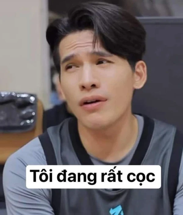 meme anh trai vượt ngàn chông gai (18)