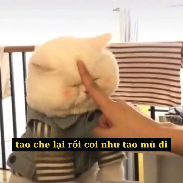 meme bị mù (2)