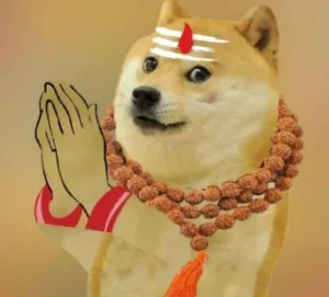 Cười té ghế với 88+ meme chó lầy lội hài hước nhất