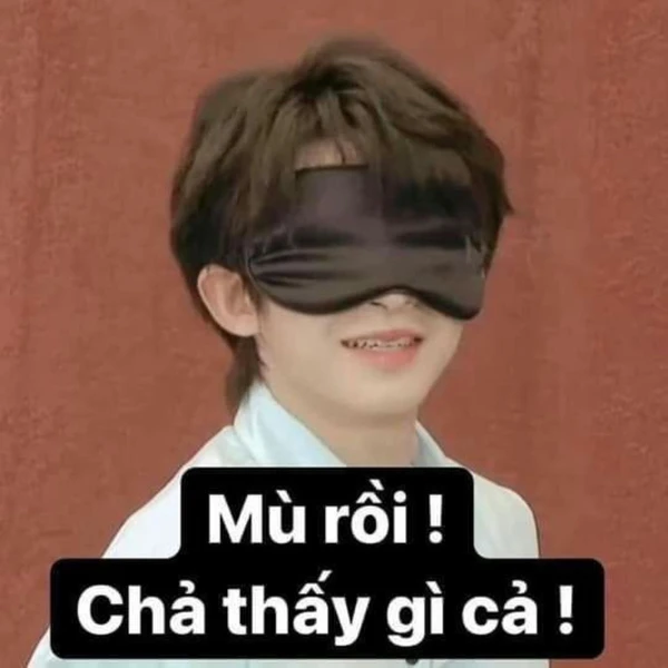 meme giả mù (2)