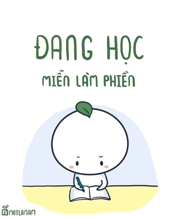 meme học bài đừng làm phiền 