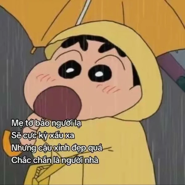 meme shin hài (2)