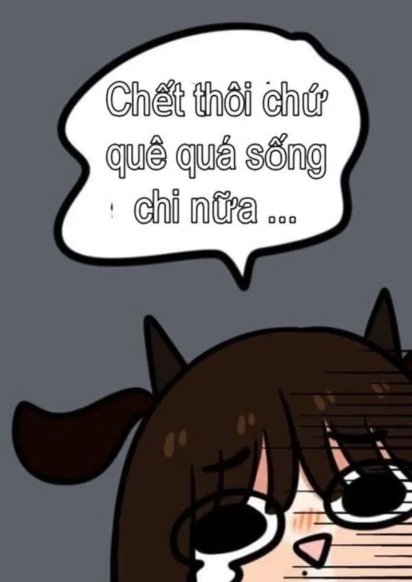 quê meme ảnh chế 