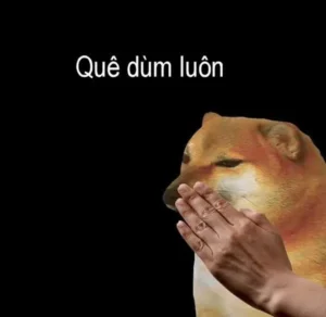 Bộ sưu tập 168+ hình ảnh quê meme hài hước nhất