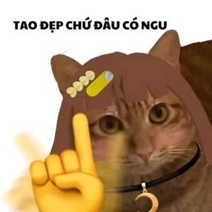 Cười xỉu với 152+ ảnh meme mèo bựa hài hước cực lầy lội