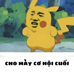 135+ ảnh Pikachu meme hài hước, độc đáo siêu dễ thương