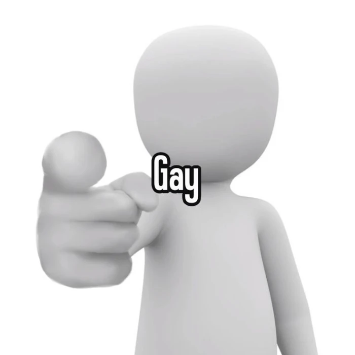 hình ảnh sẽ gầy meme gay
