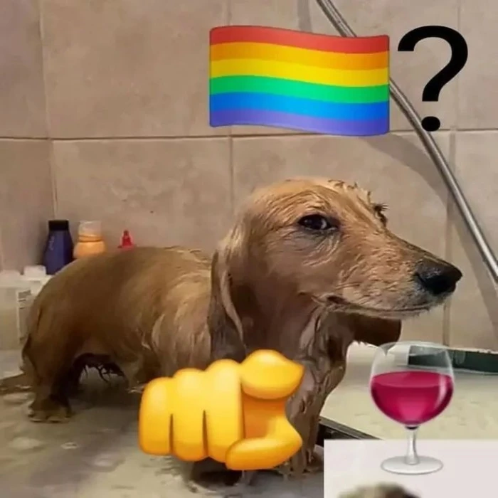 hình ảnh meme sẽ gầy