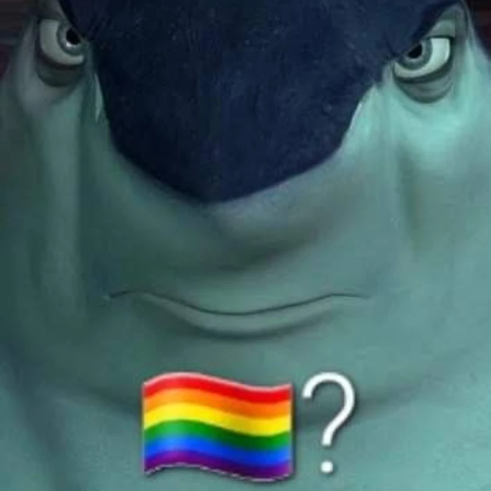 hình meme sẽ gay