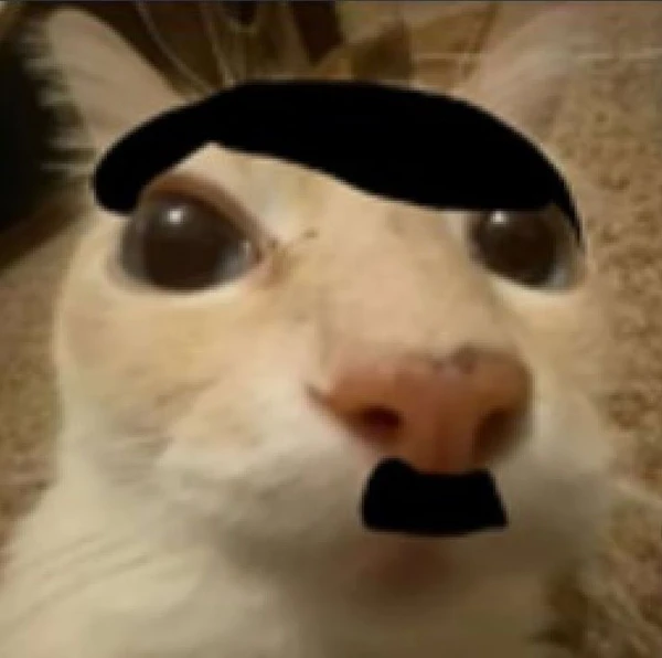 hitler cat meme (1)