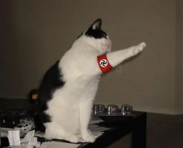 hitler cat meme (2)