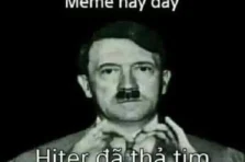 187+ ảnh Hitler meme hài hước từ lịch sử đến Internet