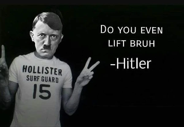 hitler meme cat (1)