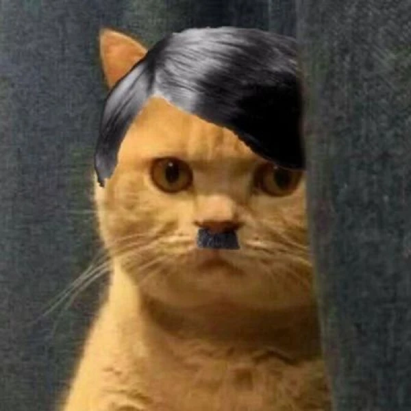 hitler meme cat (2)