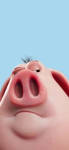 Hình nền con lợn ngầu