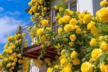 177+ hình ảnh hoa hồng vàng đẹp ngất ngây, chill hết nấc