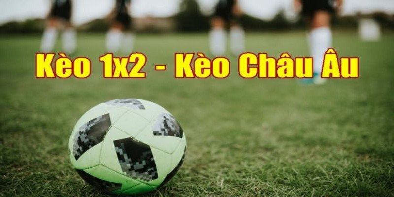 Đa Dạng Các Giải Đấu Hàng Đầu Thế Giới