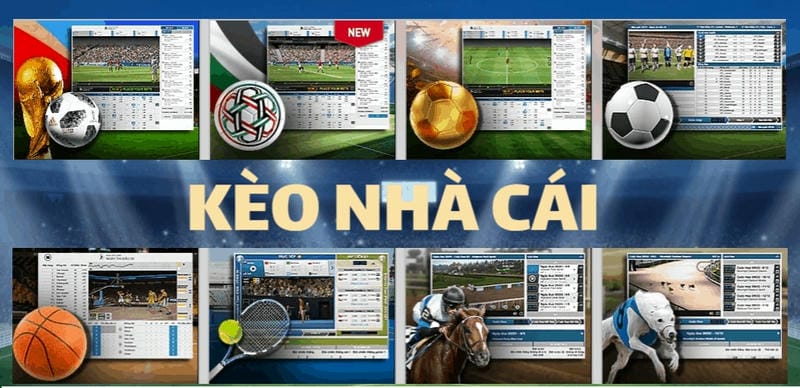 Kèo nhà cái hoạt động dựa trên dữ liệu và thuật toán