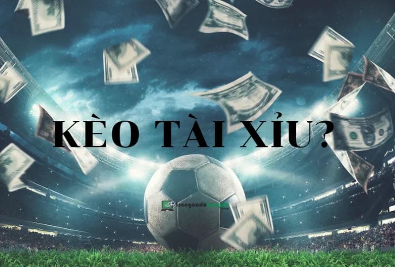 Hướng Dẫn Tính Toán Chiến Lược Tài Xỉu 1 Trái Tại Vinbet