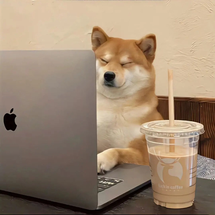 Ảnh chó corgi cute mông trái đào