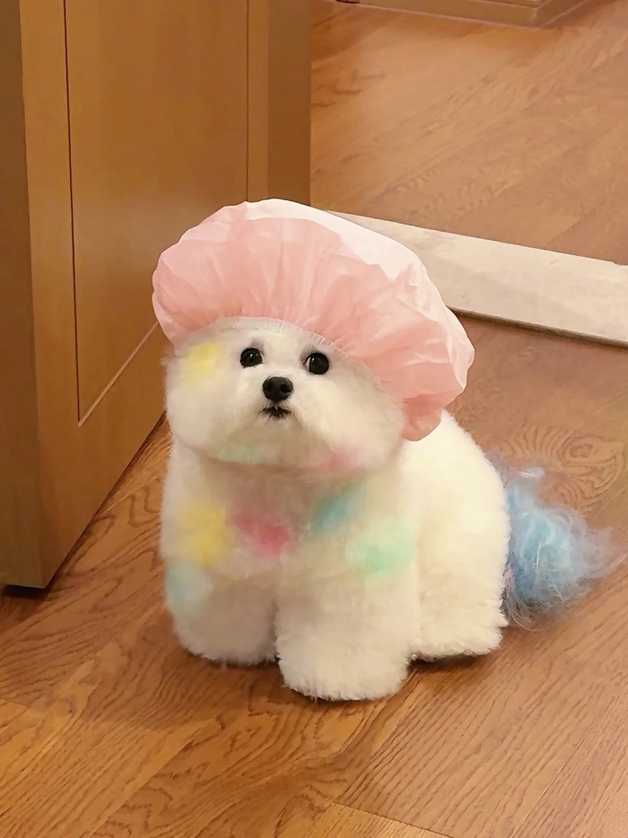 Hình ảnh chó cute đáng yêu siêu đỉnh