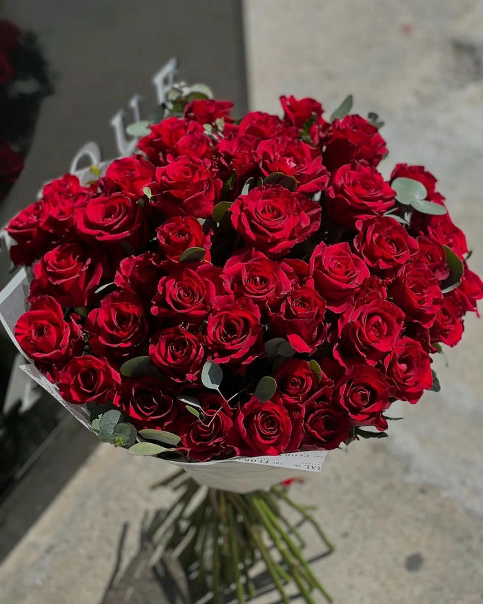 ảnh bó hoa hồng đỏ dưới nắng
