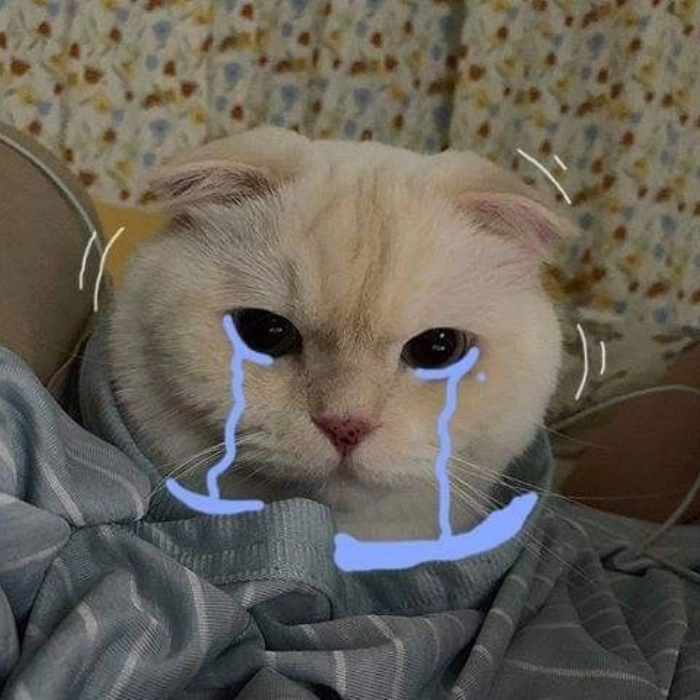ảnh meme buồn rớt nước mắt