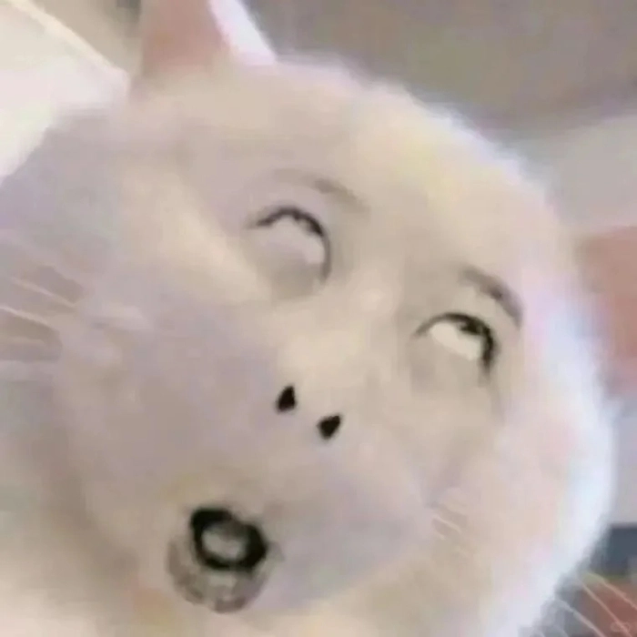 ảnh meme face troll