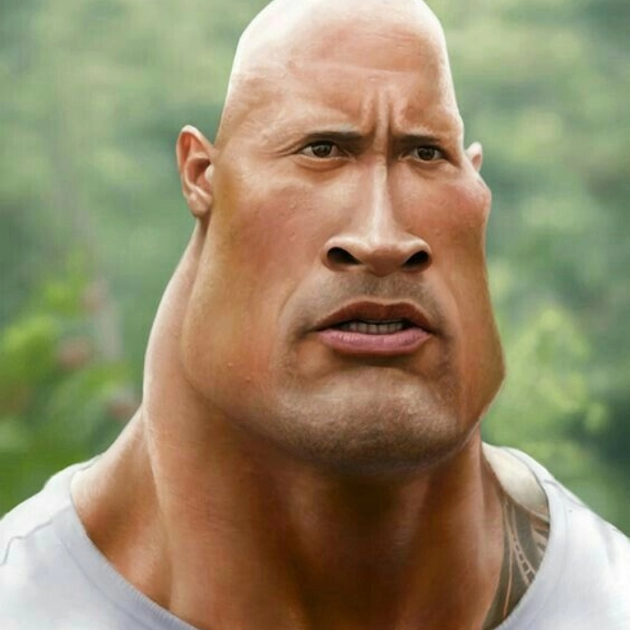 ảnh the rock meme