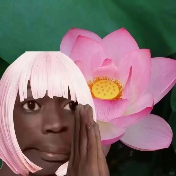 avatar meme anh da đen