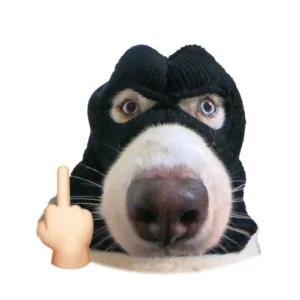 avatar meme chó bịt mặt