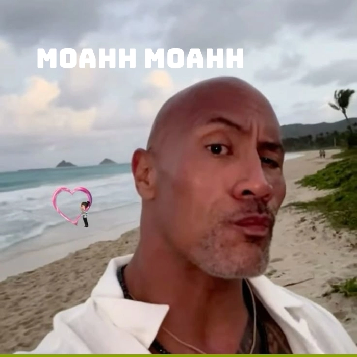 chế ảnh the rock meme