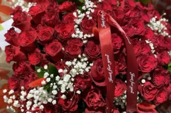 Ngắm 288+ hình ảnh hoa hồng đỏ xinh hết nước chấm