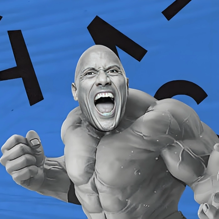 hài chế the rock meme