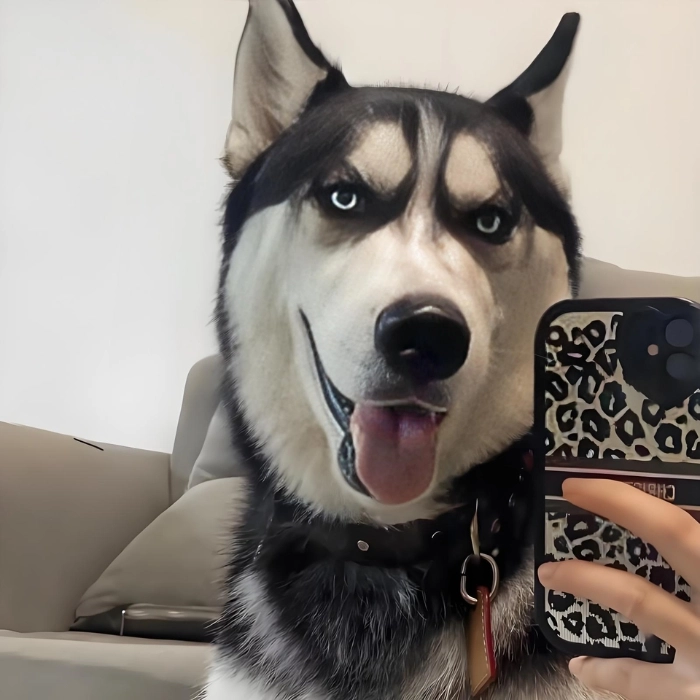 hình ảnh avatar meme