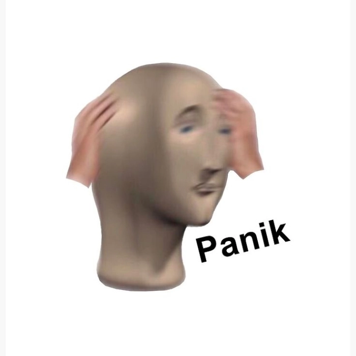 hình ảnh stonks meme