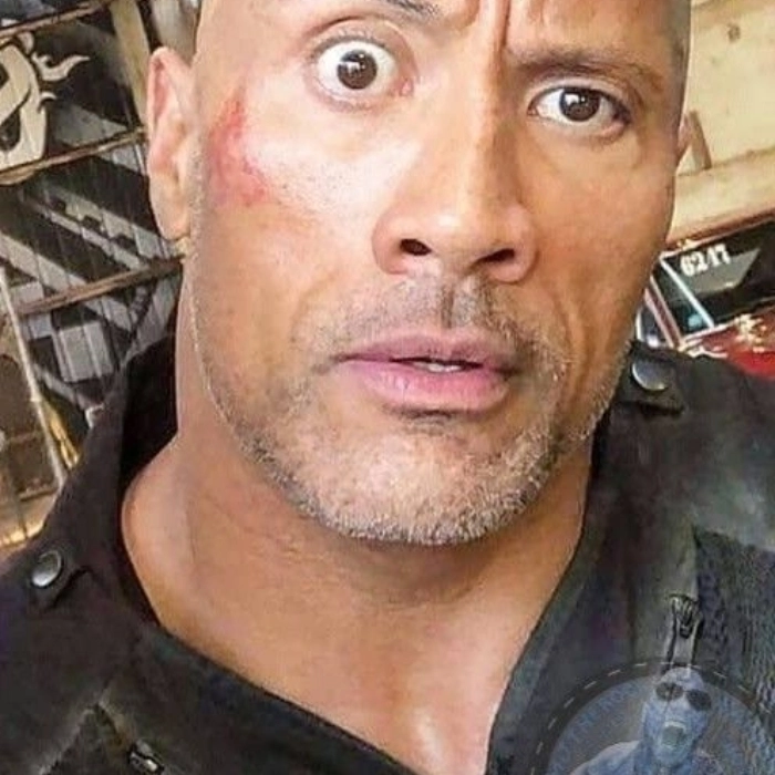 hình the rock meme