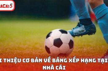 Bảng Xếp Hạng – Cập Nhật Liên Tục Thành Tích Từng Đội Bóng