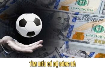 Cá Độ Bóng Đá – Chiến Thuật Hiệu Quả, Thắng Lớn Trong Tay
