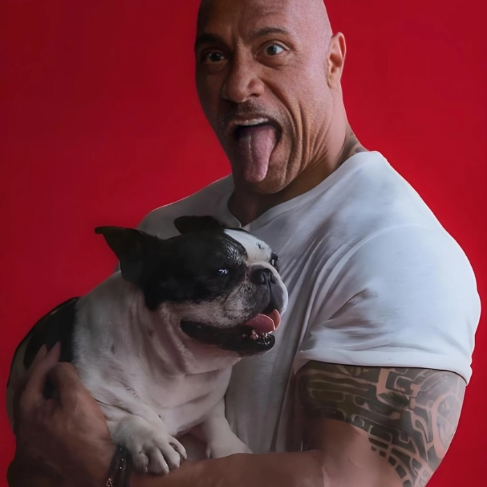the rock meme biểu cảm