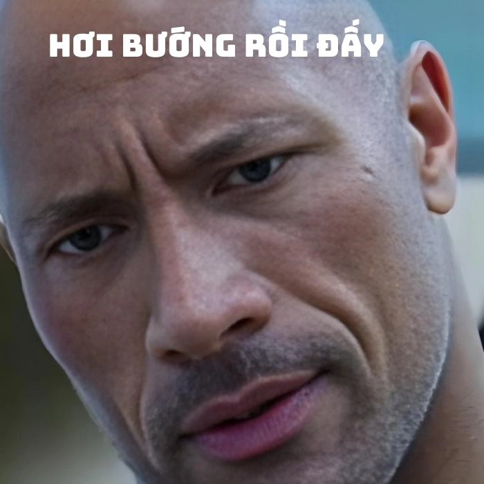 the rock meme bựa chế