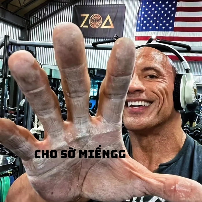 the rock meme bựa