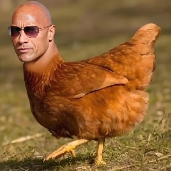 the rock meme chế hài