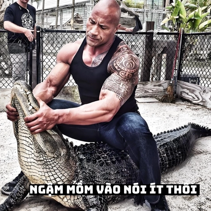 the rock meme chế nhây