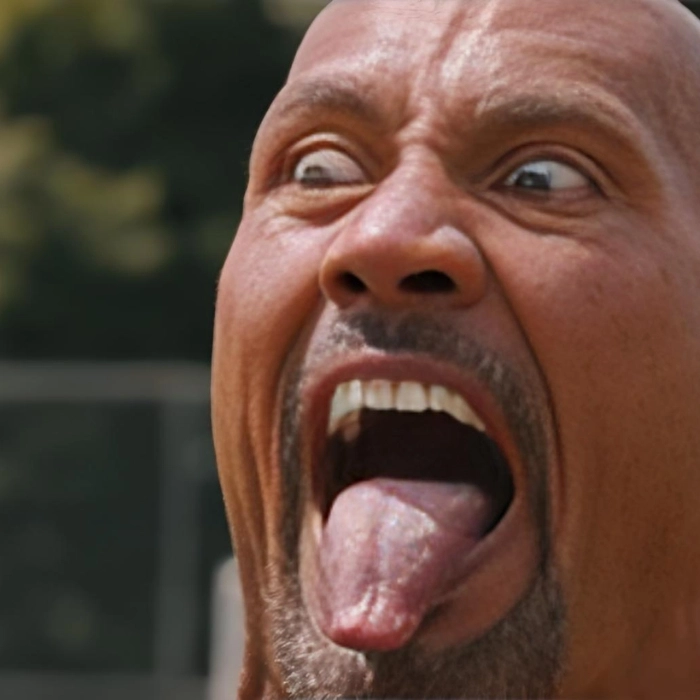 the rock meme lầy nhây