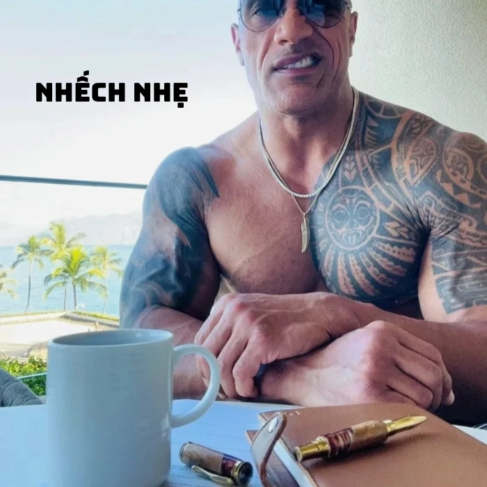 the rock meme nhếch